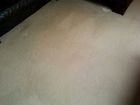 Bone Dry Carpet Cleaning 1056878 Image 6